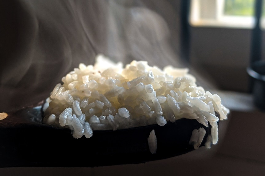 A bowl of steaming rice.