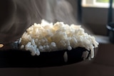 A bowl of steaming rice.