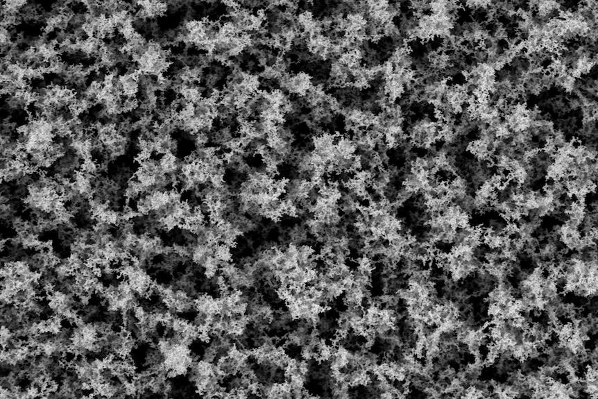 Microscopic image of a sensor showing its spongey and porous nanostructure