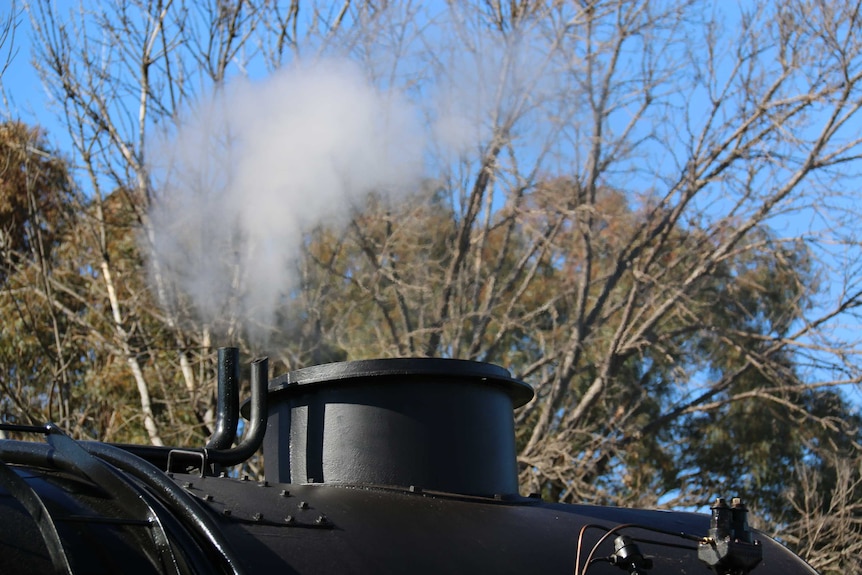 Steam rises from Beyer Garratt 6029.