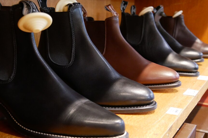six display RM Williams boots lined up on a shelf