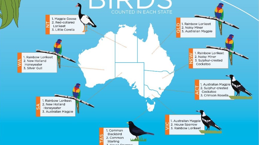 Aussie Bird Count 2016 results