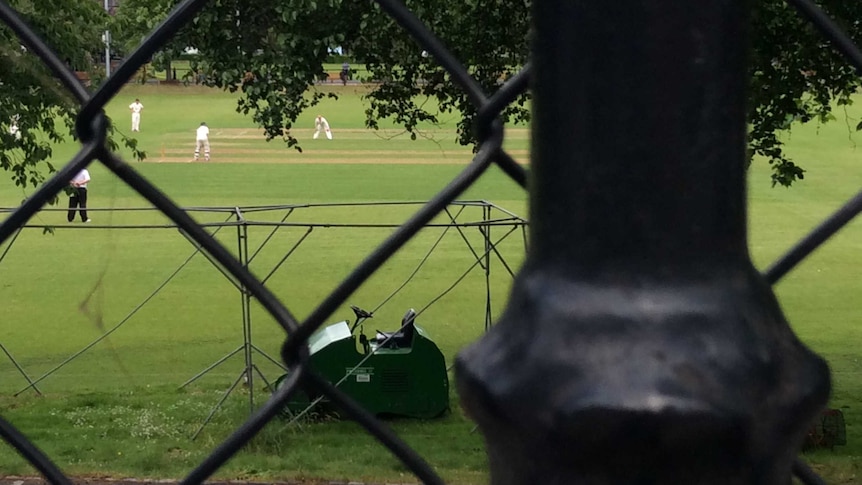 A game of cricket being played at Trinity College, Dublin, on June 3, 2017.