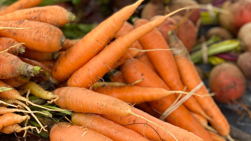 Bunches of carrots.