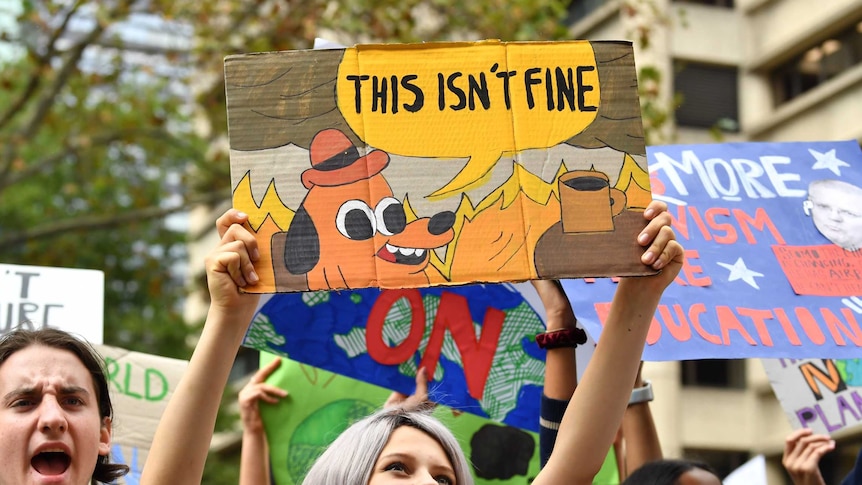 A young woman holding a sign that reads "this isn't fine", featuring a cartoon dog sitting in a burning room.