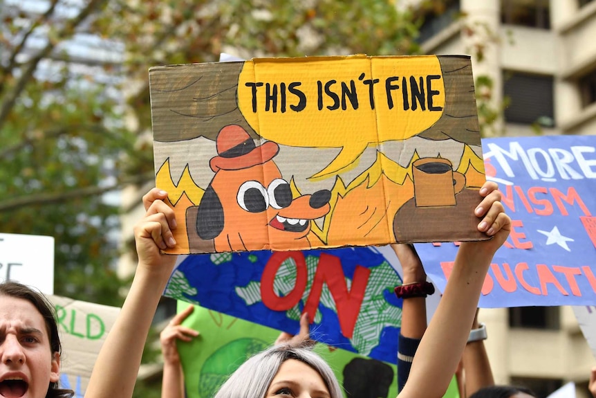 A young woman holding a sign that reads "this isn't fine", featuring a cartoon dog sitting in a burning room.