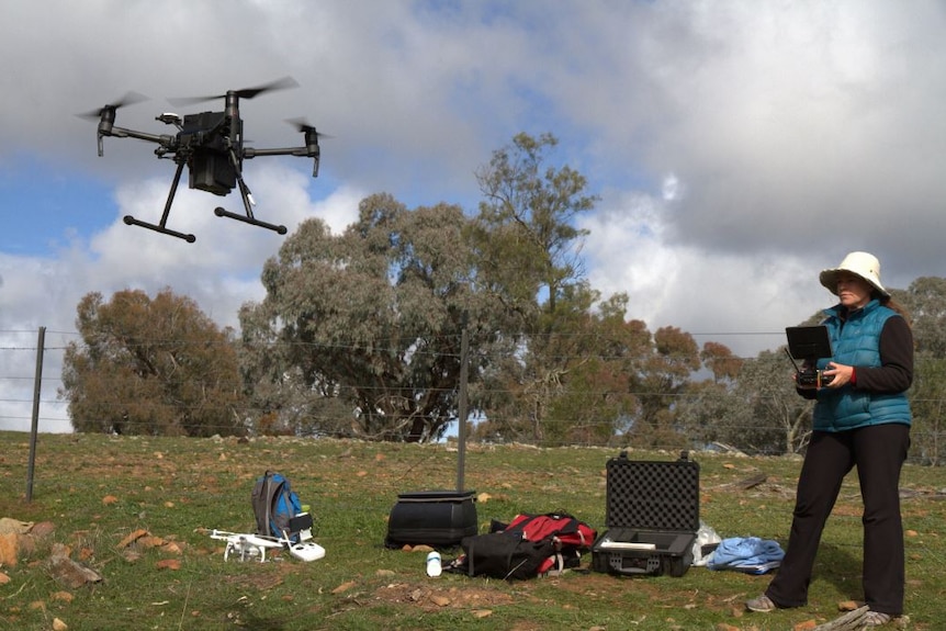 A woman operates a drone in a field