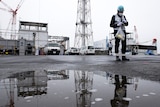 A person in protective clothing and a blue helmet looks at a device in their hands while standing in an industrial car park.