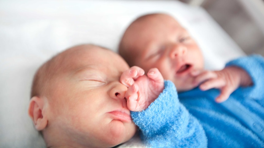 Two male baby newborns together in cot in hospital.