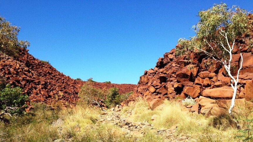 Red rocks piled up into hills, surrounded by blue skies and golden spinifex grass