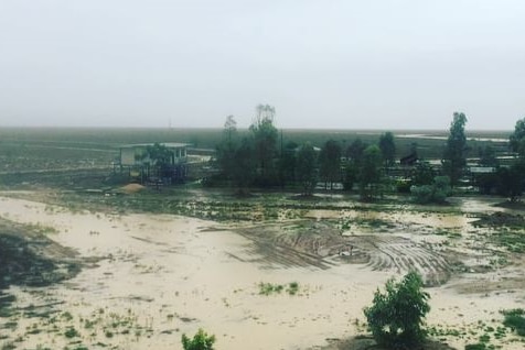 Rain at Cassandra & Bill Bjurstrom's Bunda Bunda Station near Julia Creek.