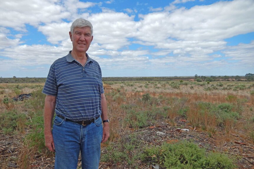 Solar venture in SA Riverland aims to make abandoned crop land ...