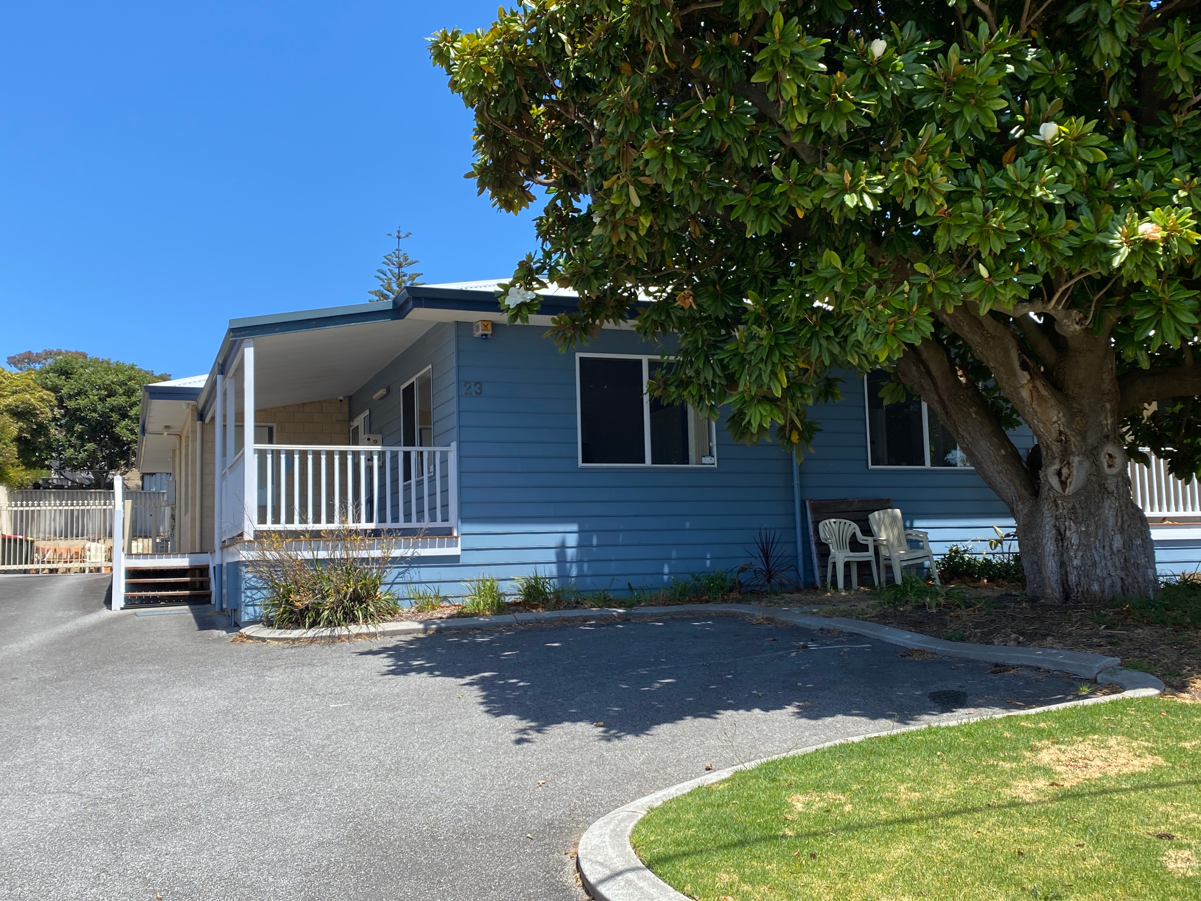 blue house with big green tree at the front with white decking