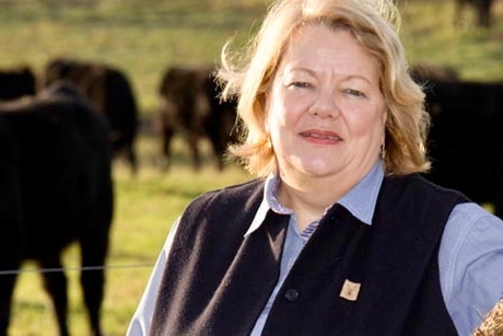 A woman with blonde hair stands in a field of cattle.