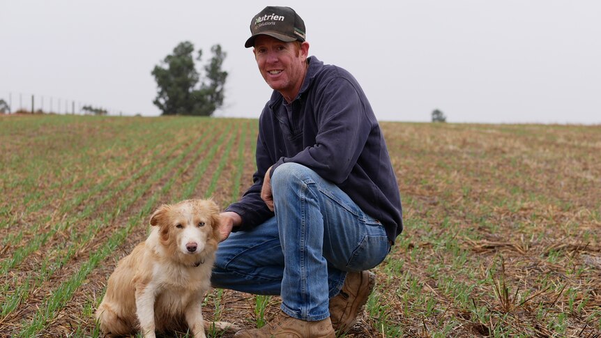 A man and his dog in a wet crop.