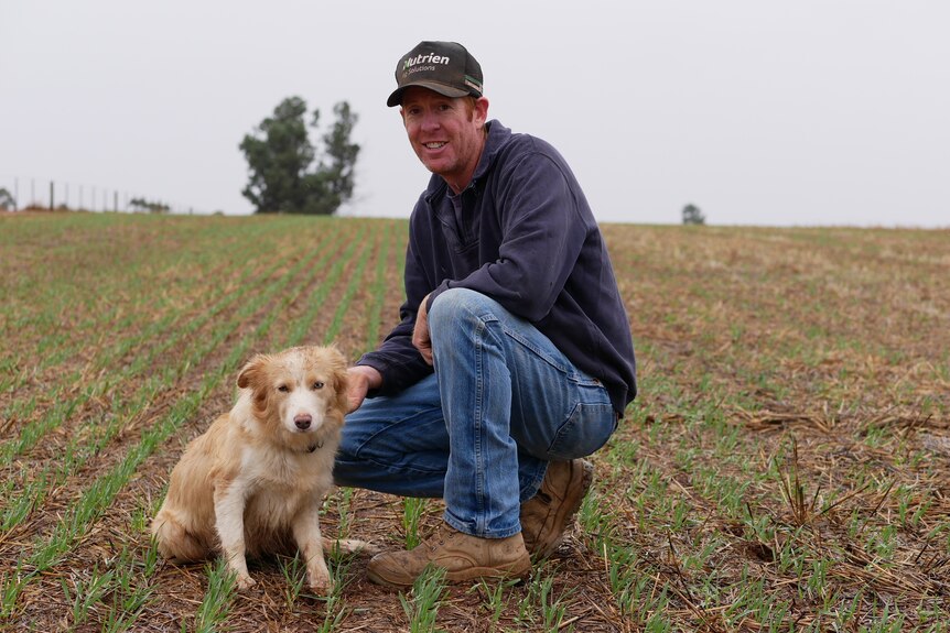 A man and his dog in a wet crop.