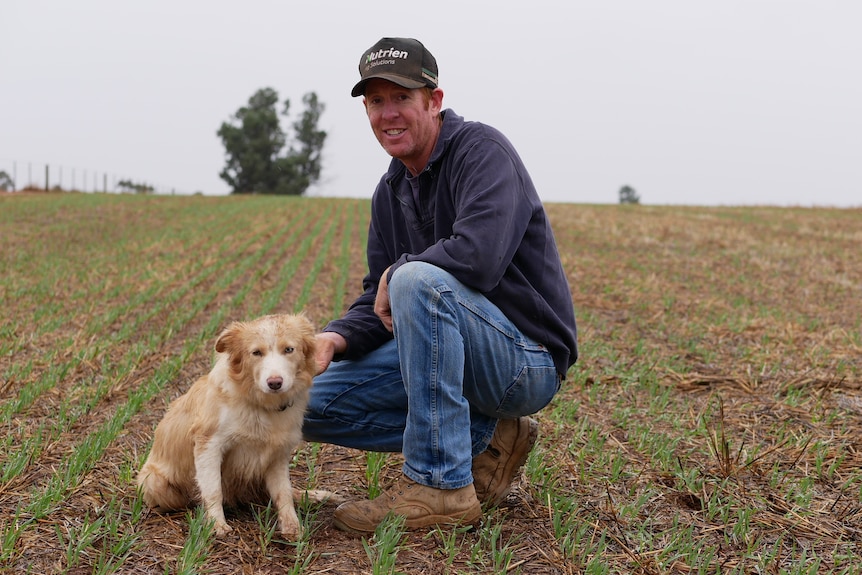 A man and his dog in a wet crop.