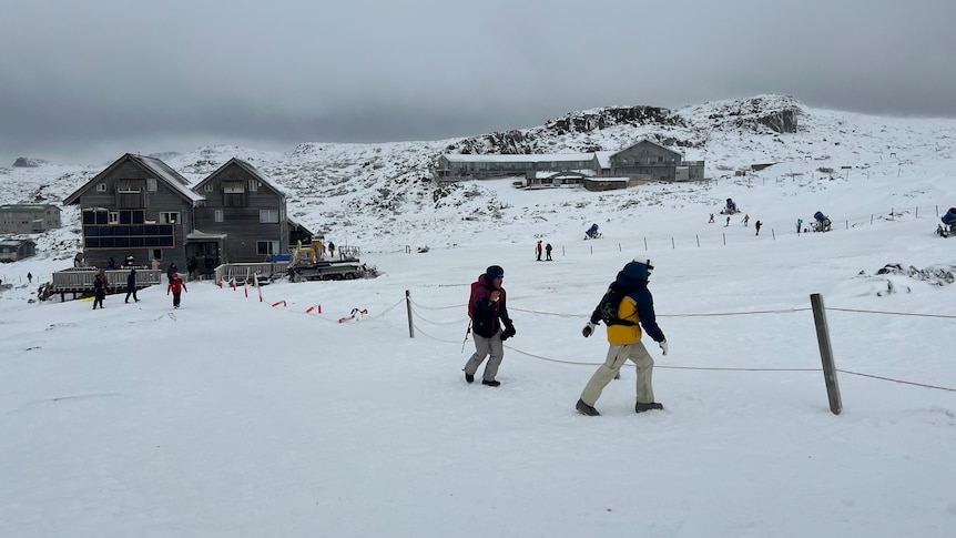 People walk in the snow at Ben Lomond, with snow-covered buildings behind them.