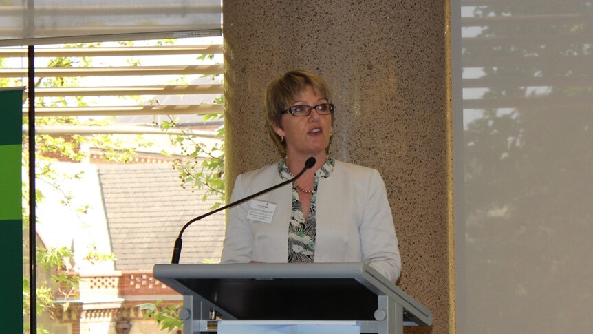 a lady stands at a lecturn delivering a speech