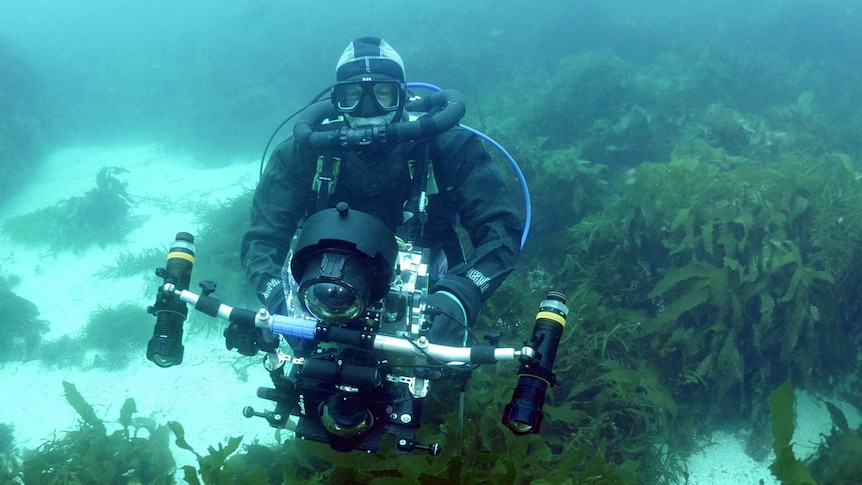 A ma;e diver under the sea with an underwater camera.