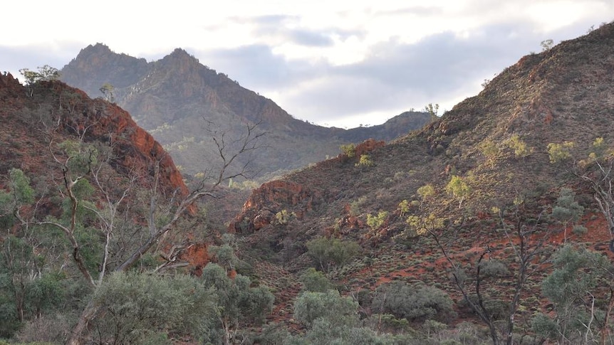 Alliances Resources says Arkaroola mining ban will affect current work