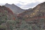 Alliances Resources says Arkaroola mining ban will affect current work