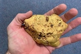 A large gold nugget held in the palm of a man's hand.