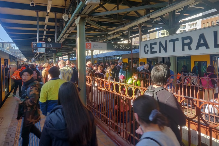 A crowded platform of a train station.