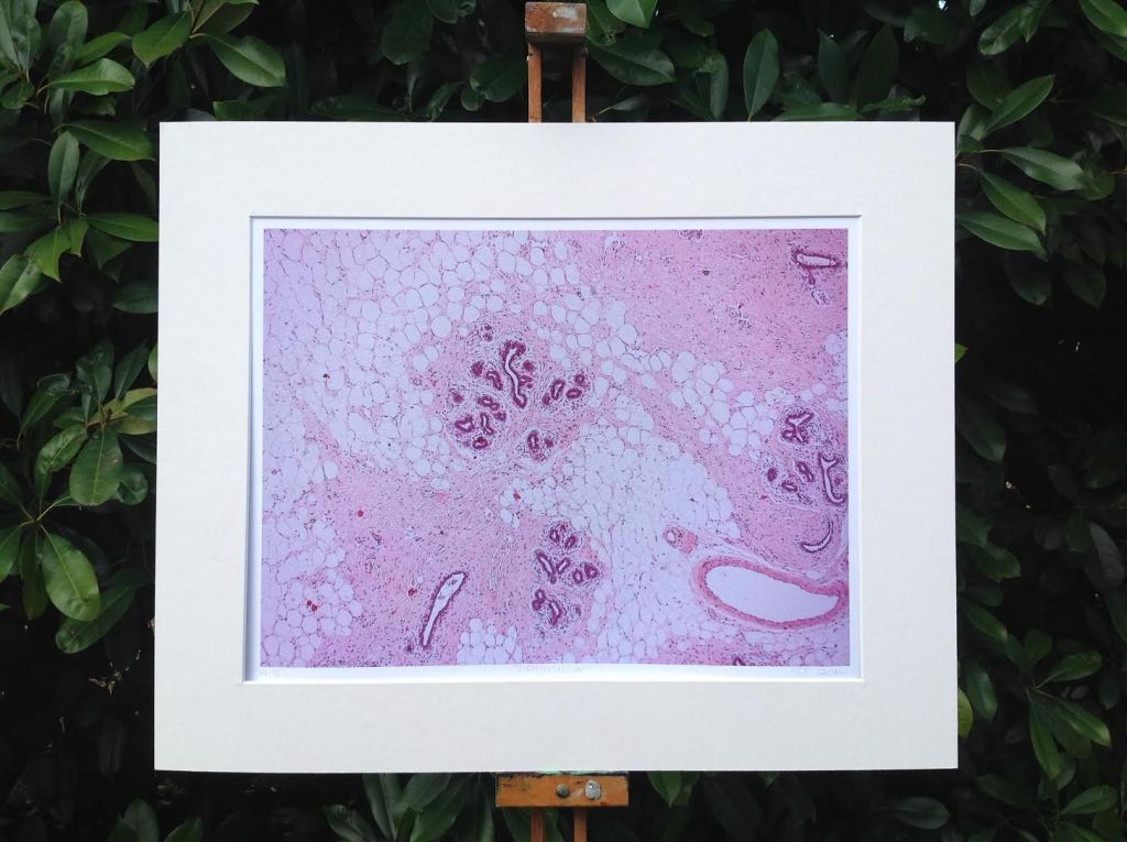 Healthy breast cell print