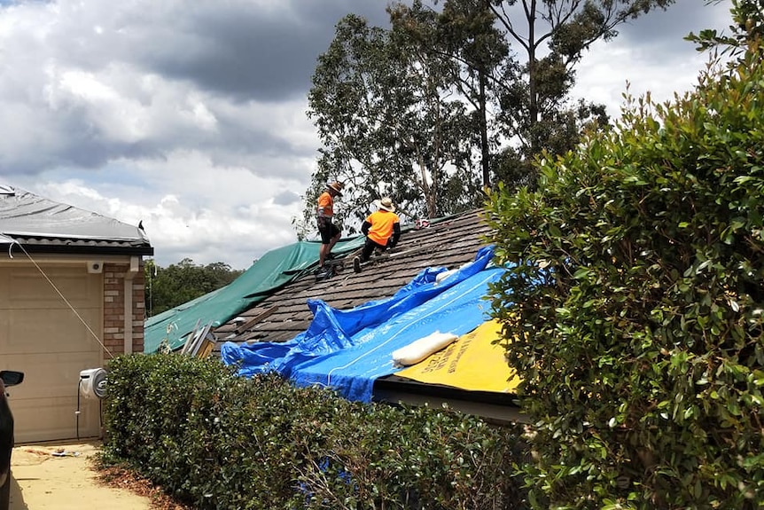 Luise Manning's roof at Springfield Lakes.