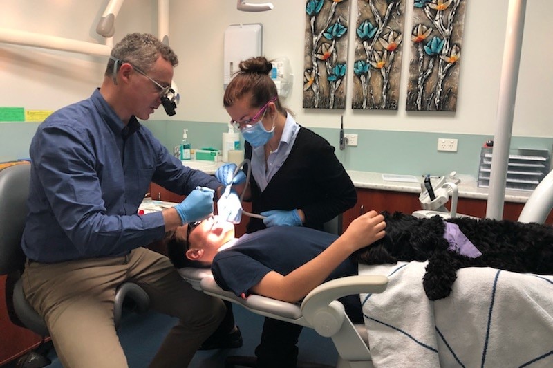 Dr Dan Ford and Shannon McBurnie work on a young patient's teeth while the dog lies on the patient's lap.