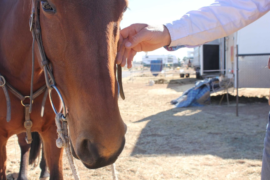 Huon Smith pats his horse