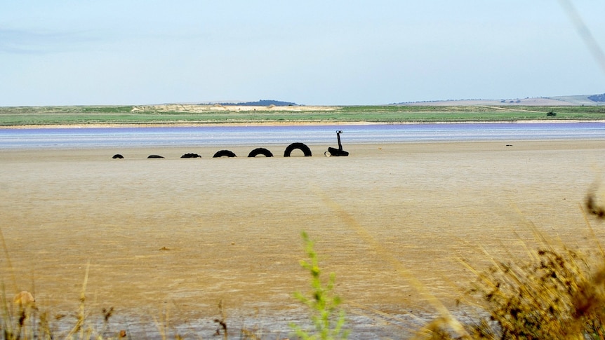 The Lochiel Ness Monster in Lake Bumbunga.