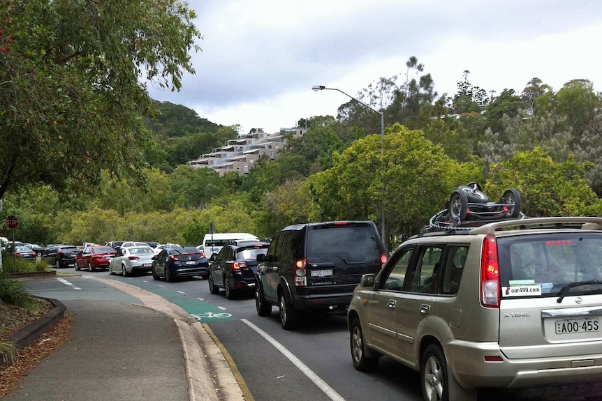 cars queuing to get into Noosa