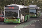 ACTION buses supply public transport services throughout Canberra, but a light rail link has been proposed for the city's north.