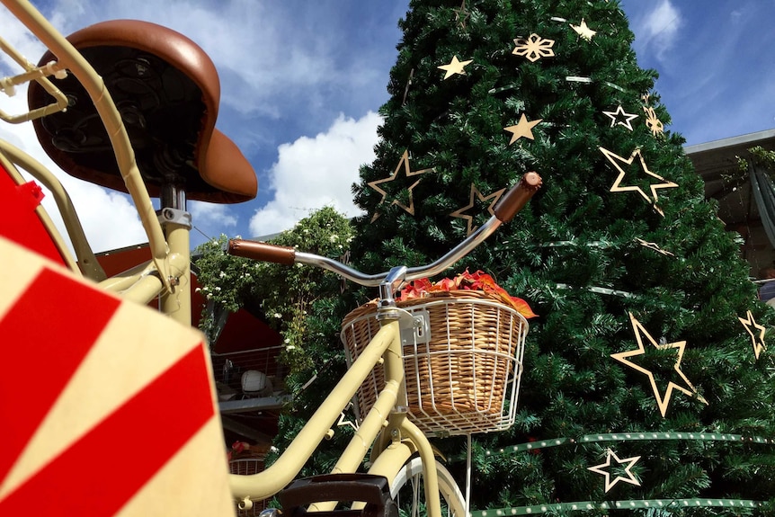 The bikes are connected to the Christmas tree to light more than 3,500 lights.