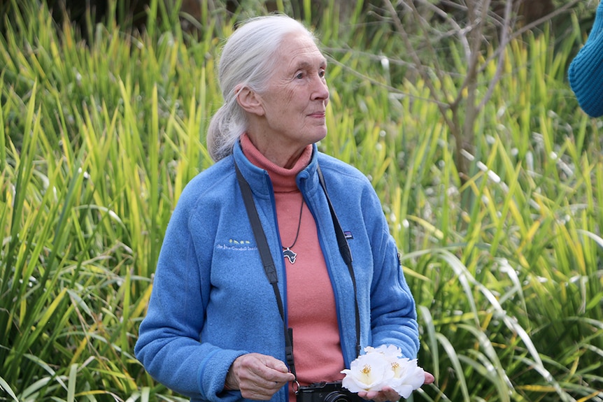 Dr Jane Goodall with a camera slung around her neck, sitting in front of a garden bed, holding three white flowers.