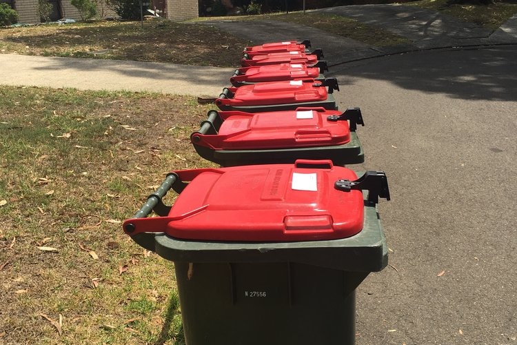 A row of red lidded bins with black locks installed on them