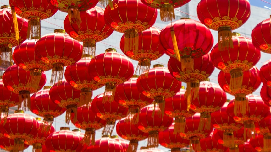 Chinese New Year lanterns, Perth.