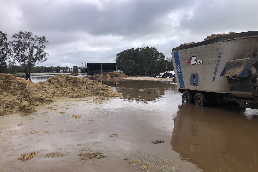 A flooded farm