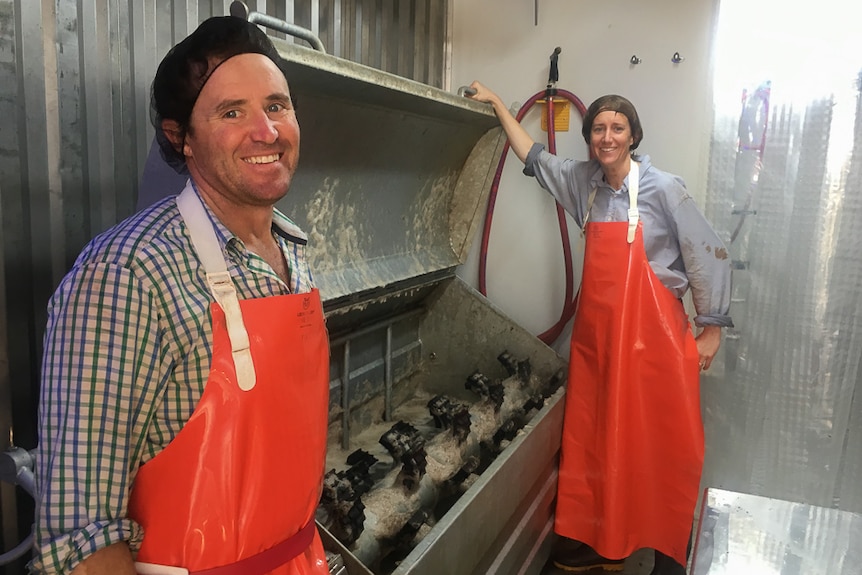 Michael and Alexandra Hicks in their mobile abattoir, showing the machine they had custom-built in Germany