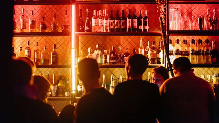 People standing at a bar looking at the bottles of alcohol. 