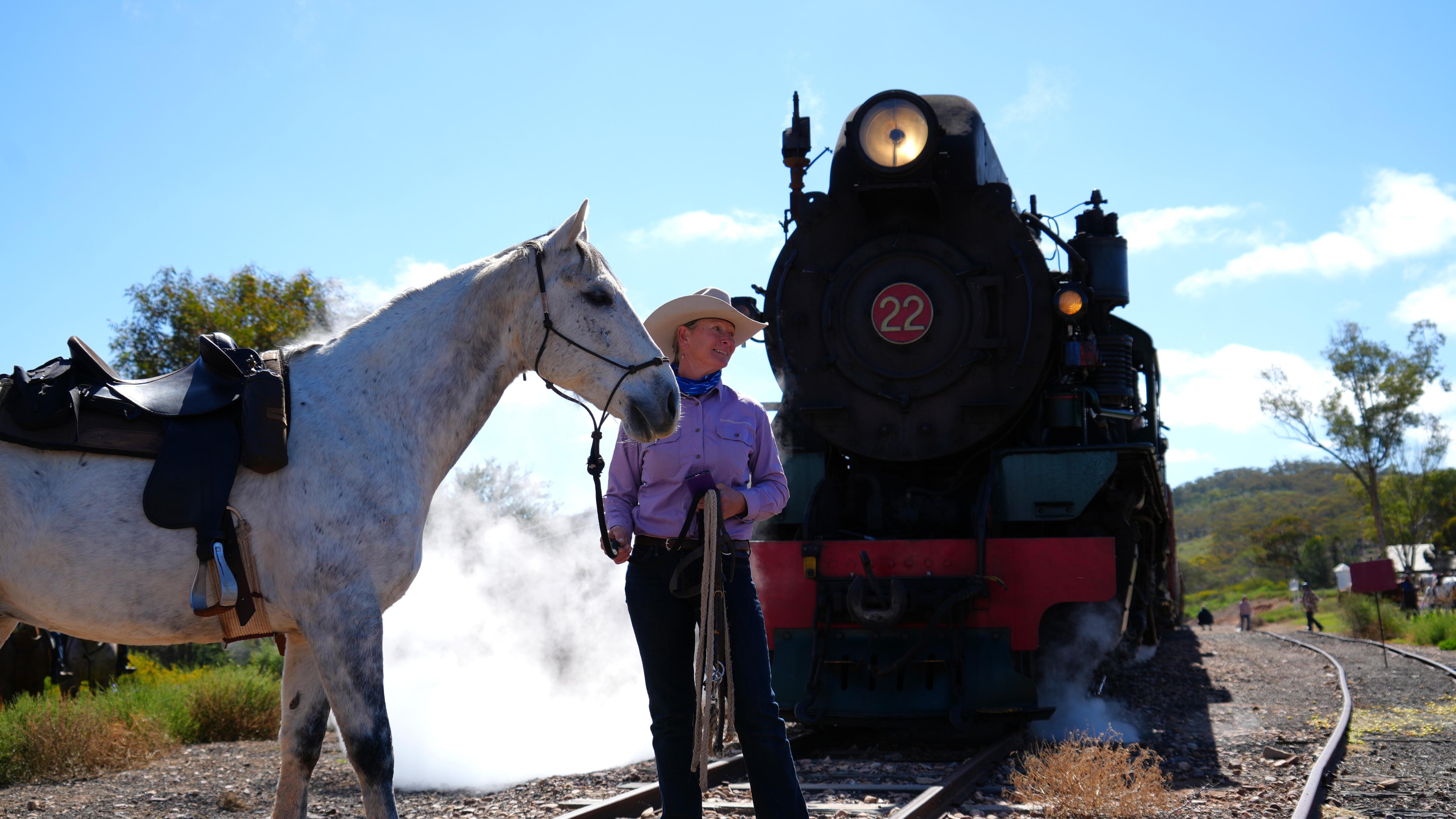 Horses hop on steam train for unique ride through Flinders Ranges