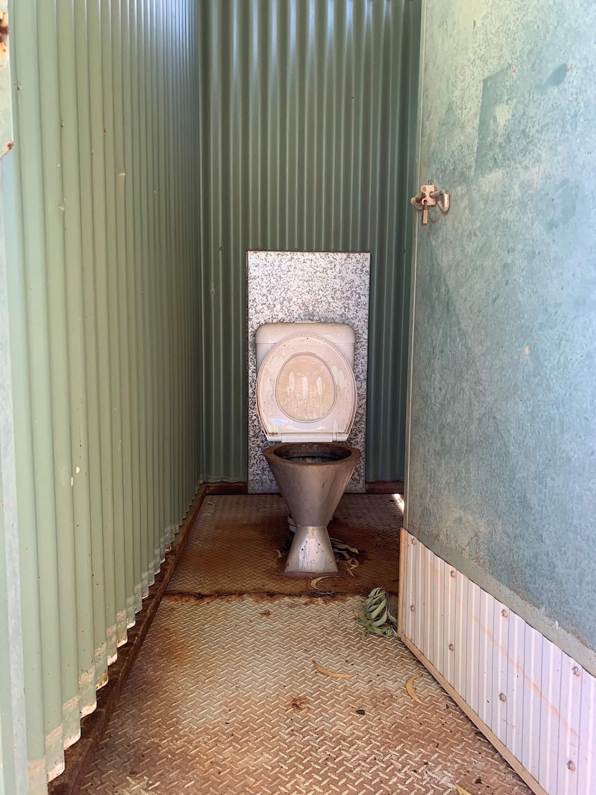 Shed toilet