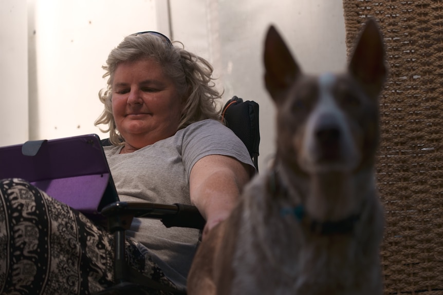 Woman sitting in chair on a tablet with her assistance dog.