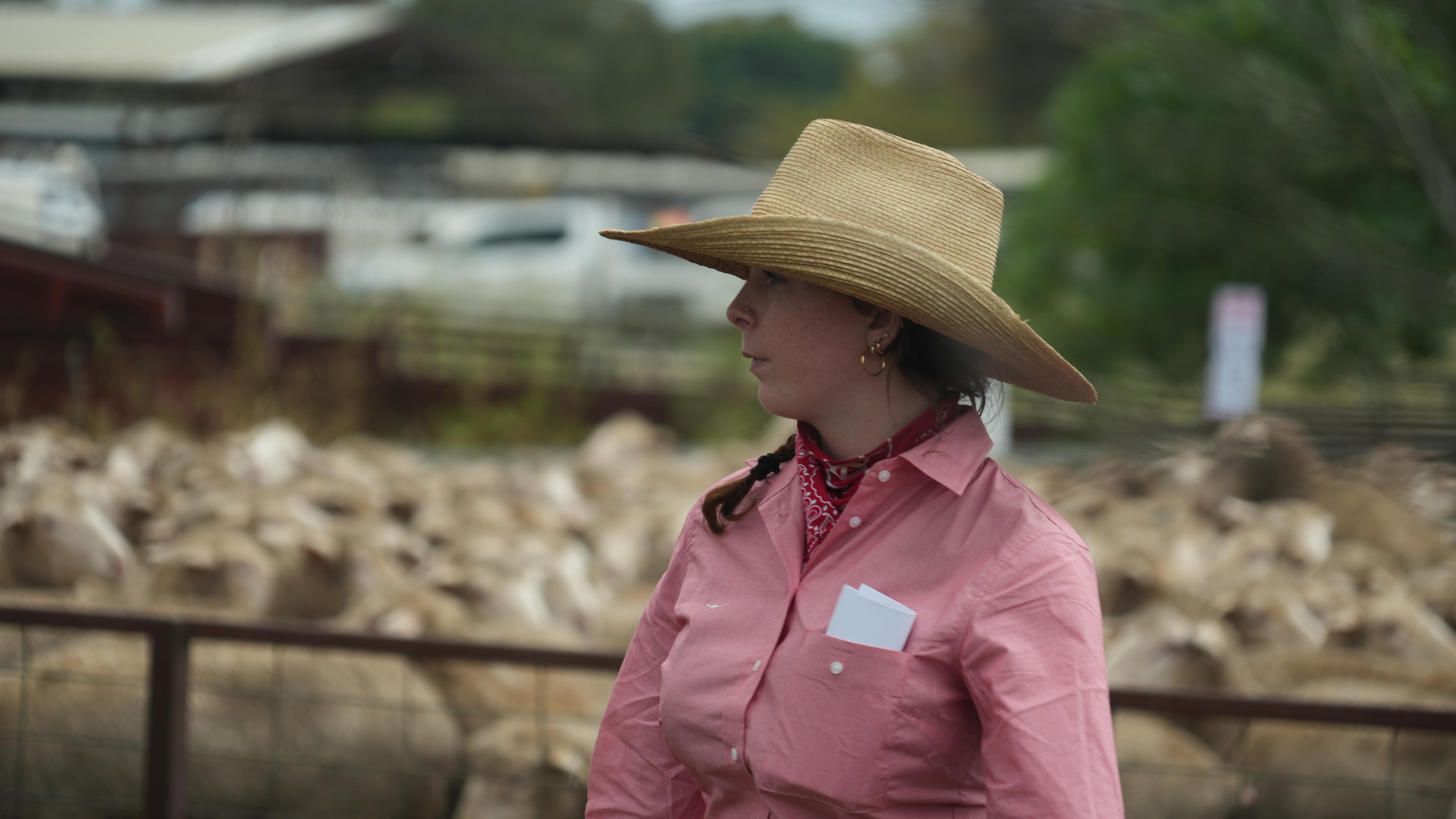 Record sheep prices can't save saleyard despite $1 lease offer
