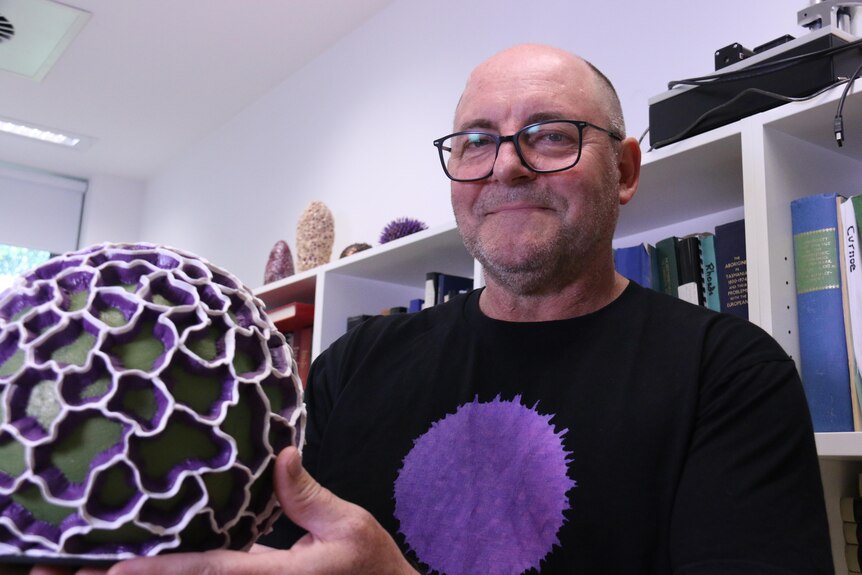 A bald man with glasses smiles holding a pollen recreation