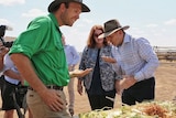 Ord farmer Christian Bloecker shows Prime Minister Tony Abbott some chia grown at his farm near Kununurra in the East Kimberley.