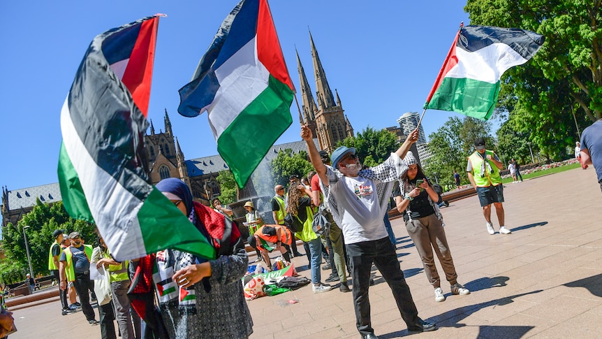 people waving palestinian flags