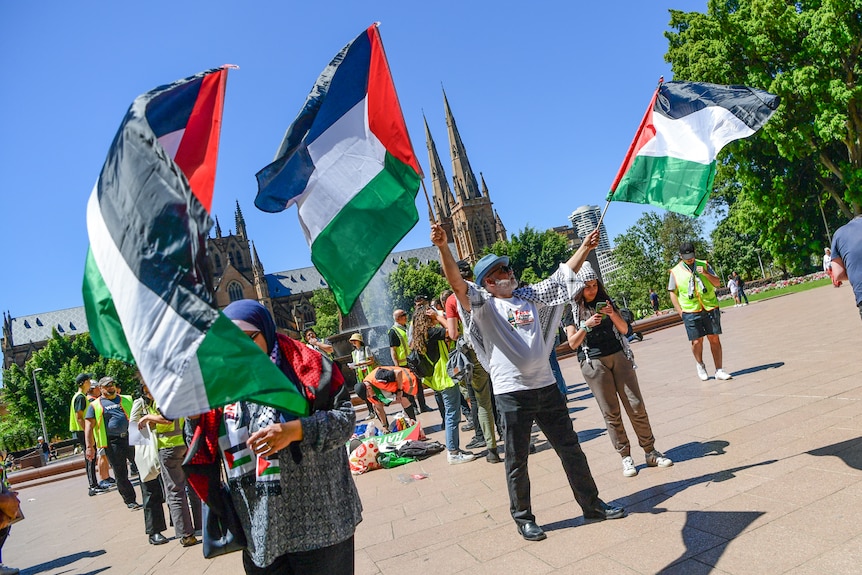 people waving palestinian flags